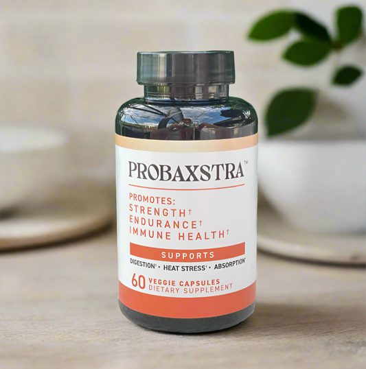 Probaxstra™ Sport - Superstrain Probiotic + Electrolytes